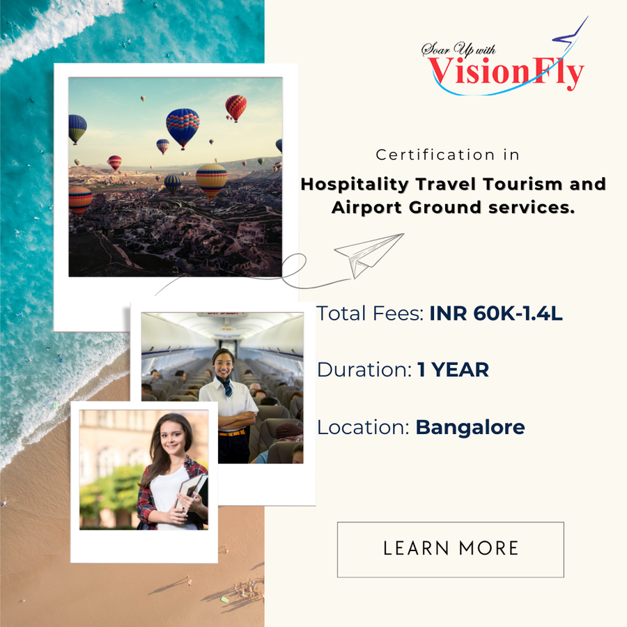 VisionFly