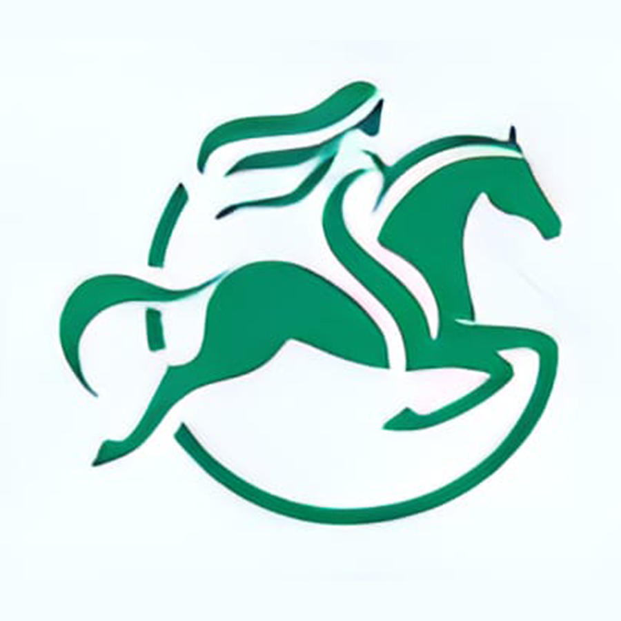 Field Executive Finance Advisor