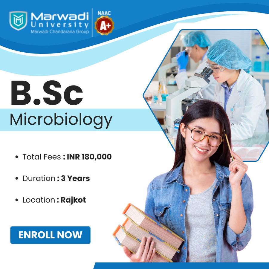 Marwadi University
