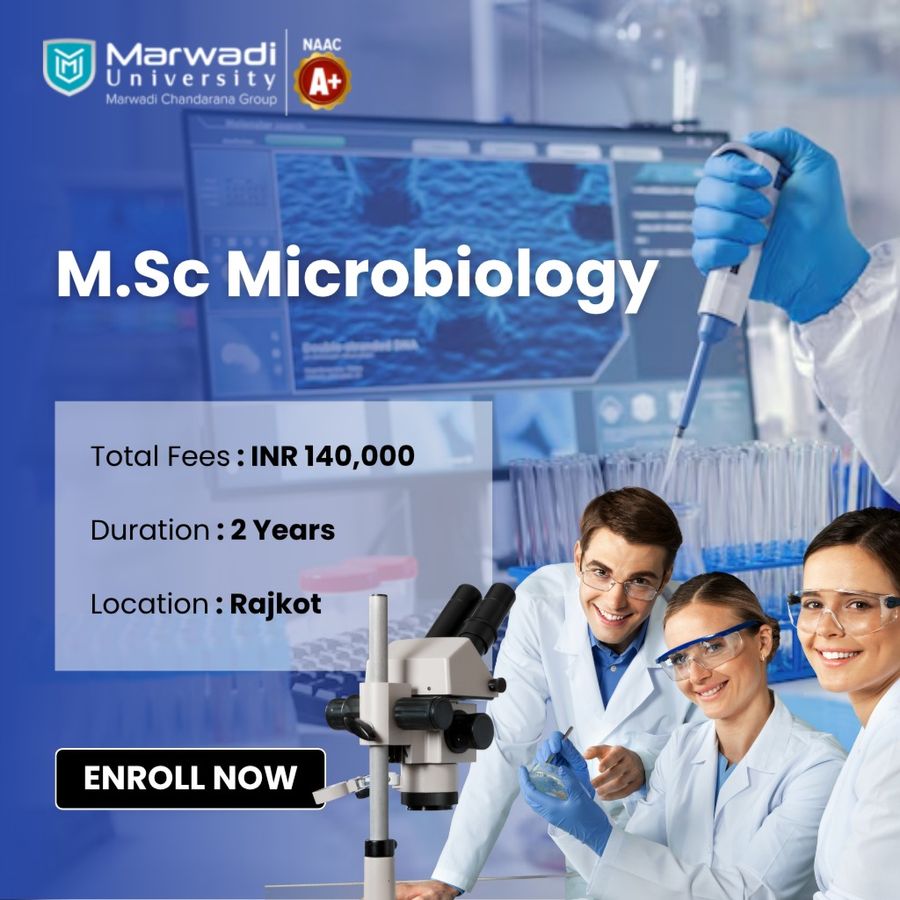 Marwadi University