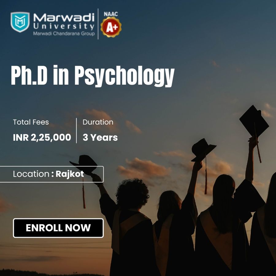 Marwadi University