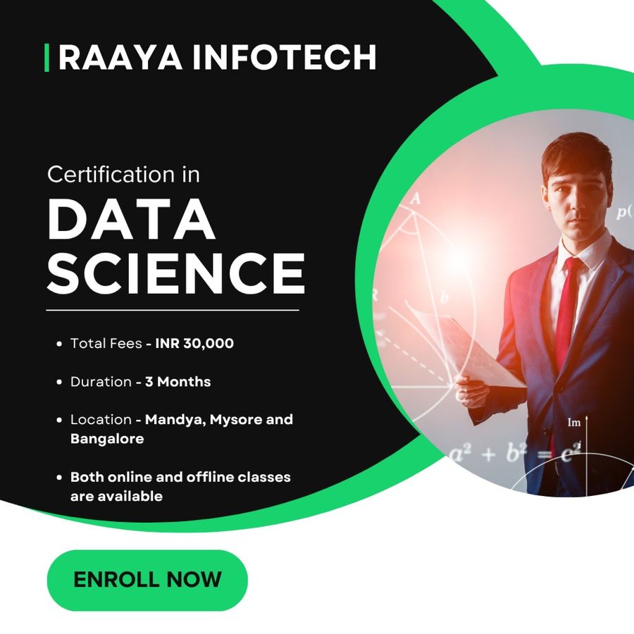 Raaya Infotech Solutions Pvt Ltd