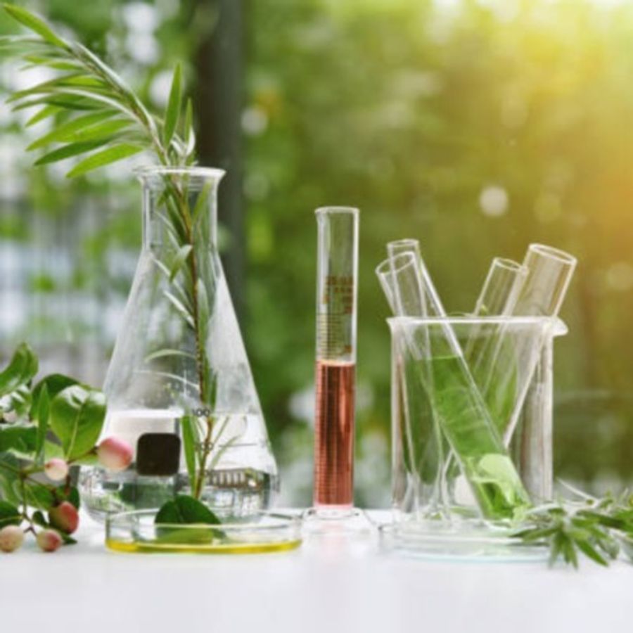 Plants| Plants disease | Bio chemical process | 